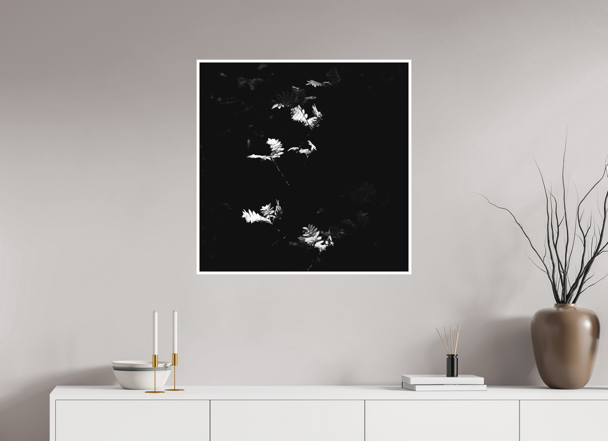 30 x 30″, Ilford B&W Photo Print Under Acrylic Glass Sun Trap
