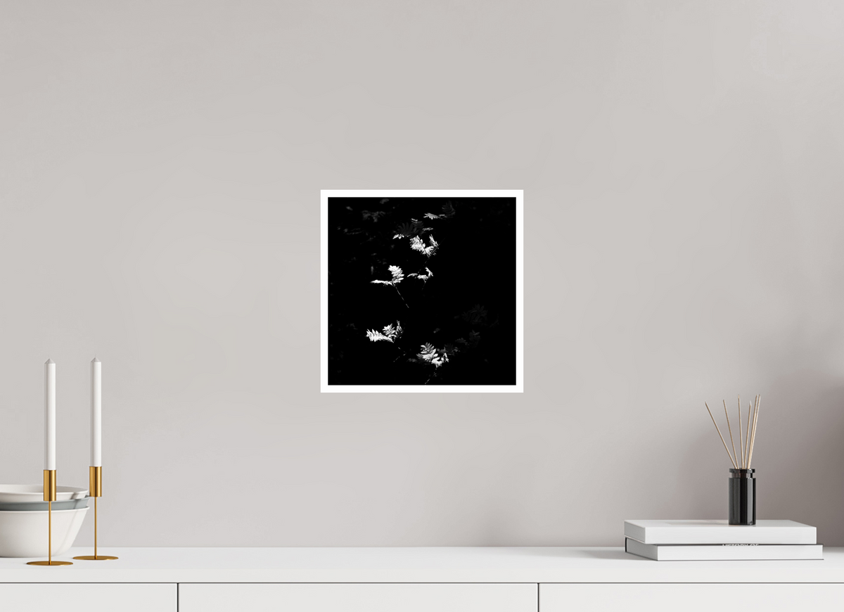 10 x 10″, Photo Print On Ilford Baryta Paper Sun Trap