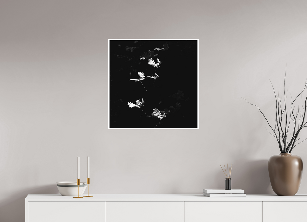 25 x 25″, Ilford B&W Photo Print Under Acrylic Glass Sun Trap