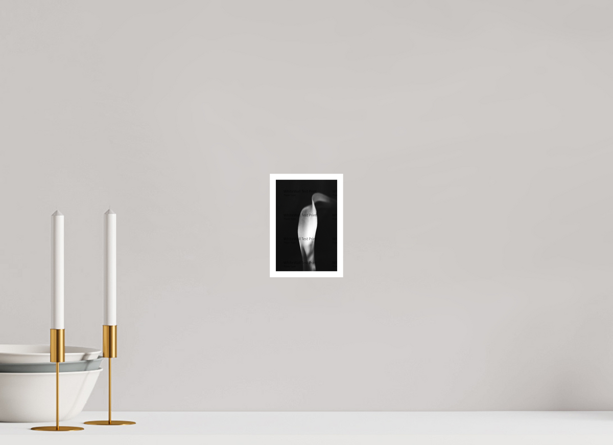 4 x 6″, Fine Art Print Lily