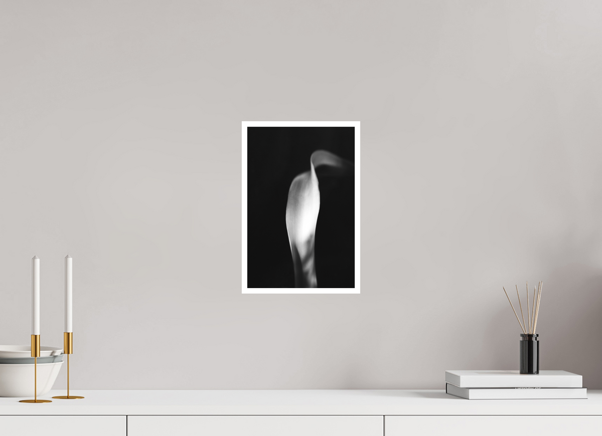 8 x 12″, Ilford B&W Photo Print Under Acrylic Glass Lily