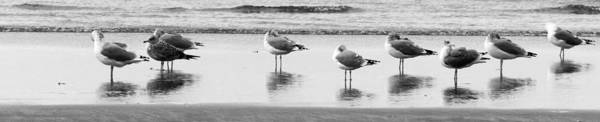 Flock #1 - Art Print