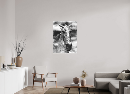 30 x 40″, Ilford B&W Photo Print Under Acrylic Glass Kelpie