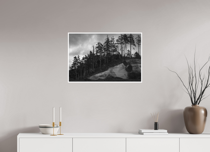 30 x 20″, Ilford B&W Photo Print Under Acrylic Glass PNW Landscape #4