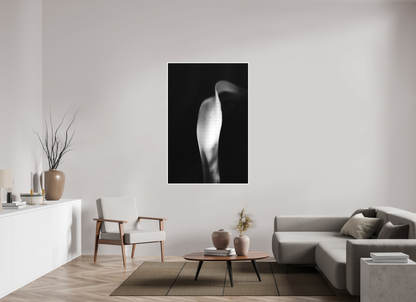 40 x 60″, Fine Art Print Lily