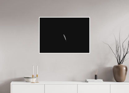 33.6 x 24″, Ilford B&W Photo Print Under Acrylic Glass Float Like a Feather