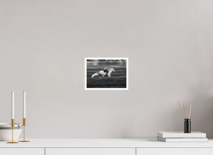 8.4 x 6″, Photo Print On Ilford Baryta Paper Giddyup