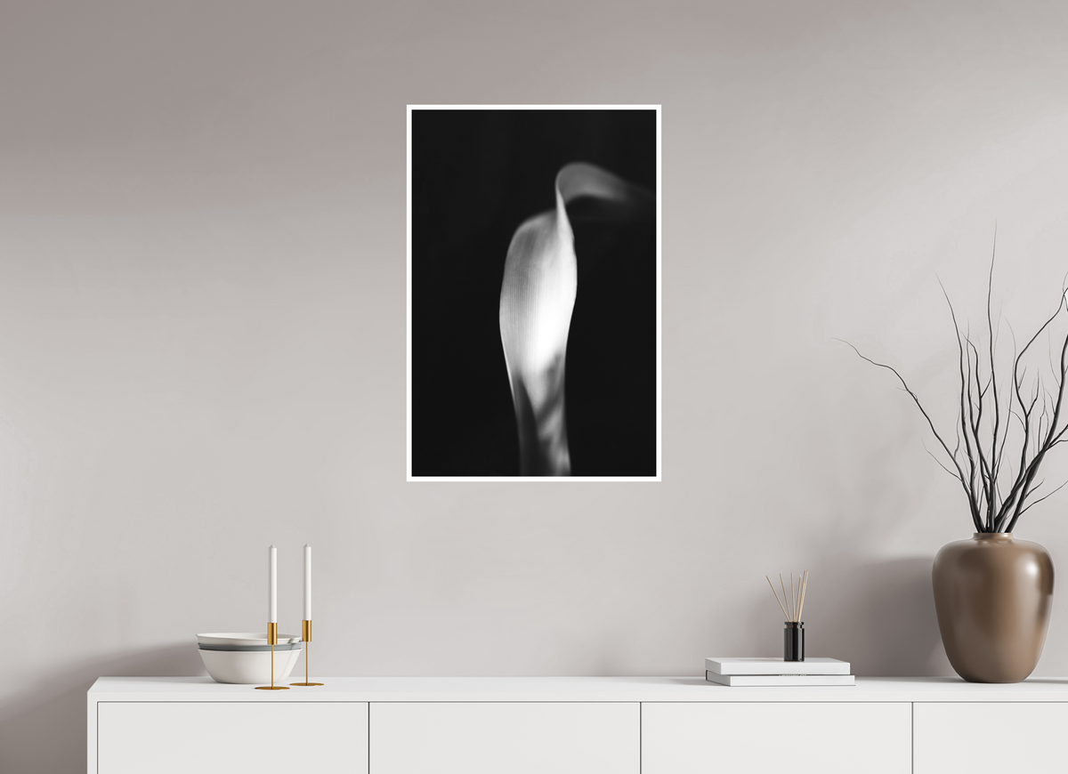 20 x 30″, Ilford B&W Photo Print Under Acrylic Glass Lily