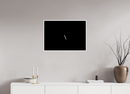 28 x 20″, Photo Print On Ilford Baryta Paper Float Like a Feather