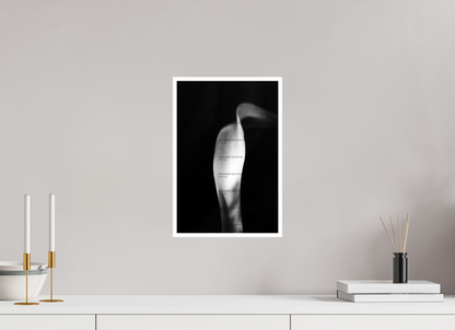 10 x 15″, Photo Print On Ilford Baryta Paper Lily