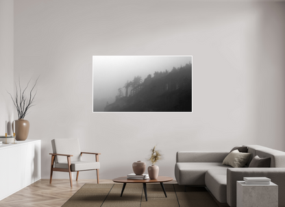 70 x 39.4″, Ilford B&W Photo Print Under Acrylic Glass PNW Landscape #2