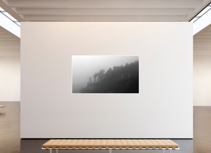 80 x 45″, Ilford B&W Photo Print Under Acrylic Glass PNW Landscape #2