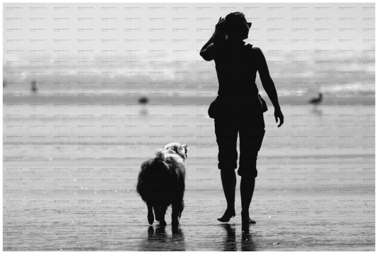 Main image Companions at the Beach