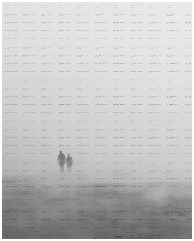 Main image Swallowed by the Mist
