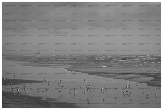 Main image Pipers on the Shore #1