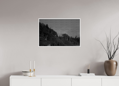 30 x 20″, Photo Print On Ilford Baryta Paper PNW Landscape #7