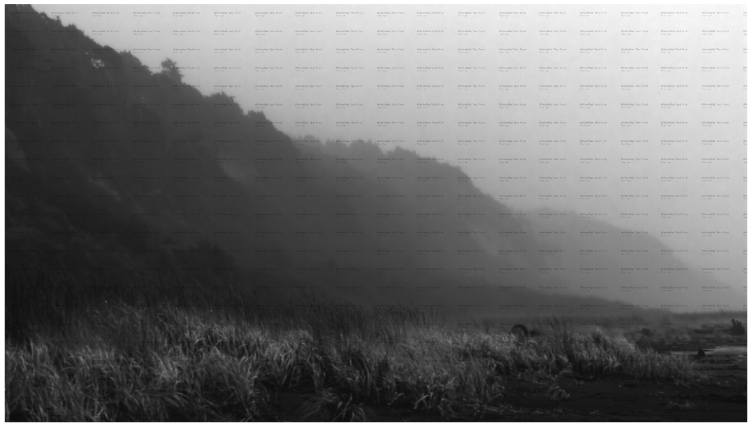 Main image PNW Landscape #3