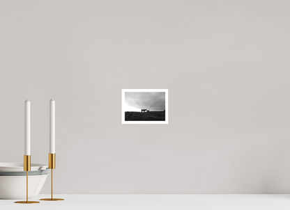 5.6 x 4″, Ilford B&W Photo Print Under Acrylic Glass Maternal Instinct