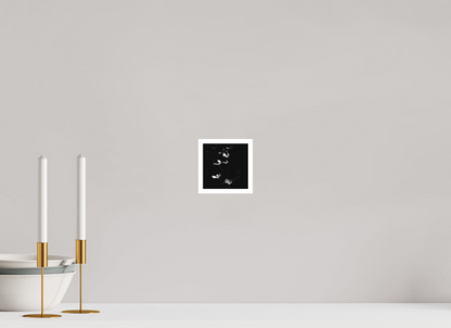 4 x 4″, Ilford B&W Photo Print Under Acrylic Glass Sun Trap