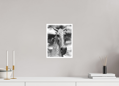 9 x 12″, Ilford B&W Photo Print Under Acrylic Glass Kelpie