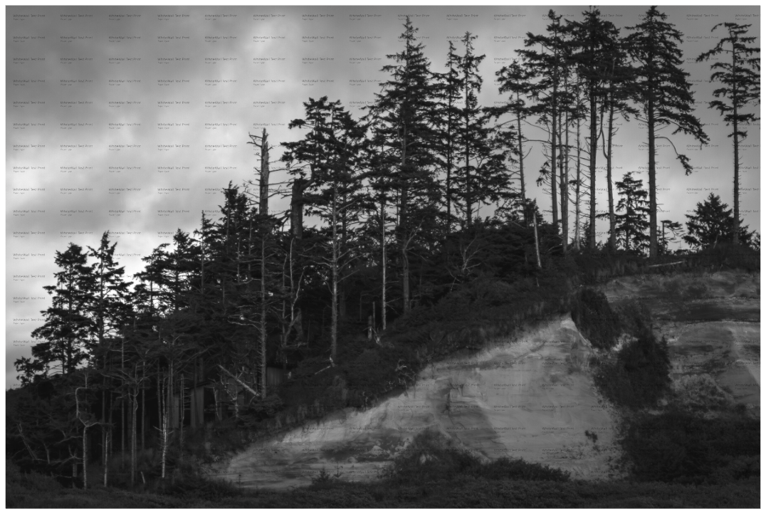 Main image PNW Landscape #4