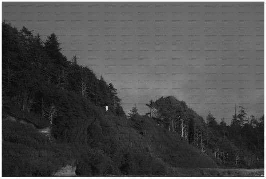 Main image PNW Landscape #7