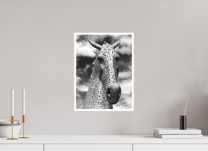 12 x 16″, Ilford B&W Photo Print Under Acrylic Glass Kelpie
