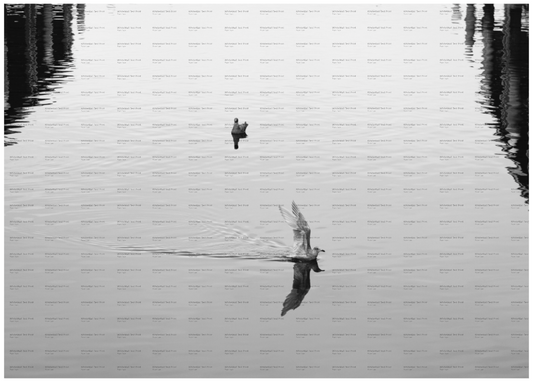 Main image Splashdown