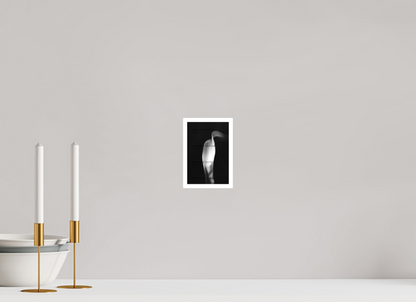 4 x 6″, Fine Art Print Lily