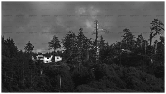 Main image PNW Landscape #9
