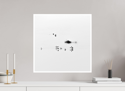 20 x 20″, Ilford B&W Photo Print Under Acrylic Glass The Gathering