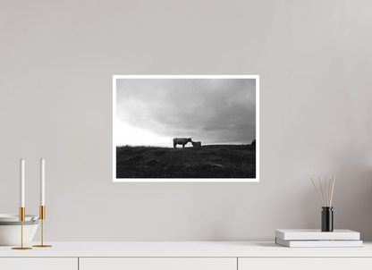 16.8 x 12″, Ilford B&W Photo Print Under Acrylic Glass Maternal Instinct