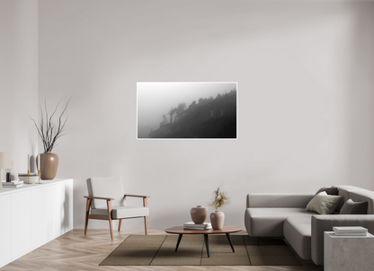 55 x 30.9″, Ilford B&W Photo Print Under Acrylic Glass PNW Landscape #2