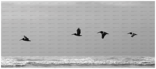 Main image Follow the Leader