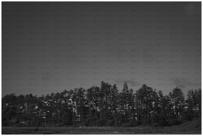 Main image PNW Landscape #6