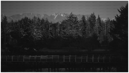 Main image 3-Layer Dip