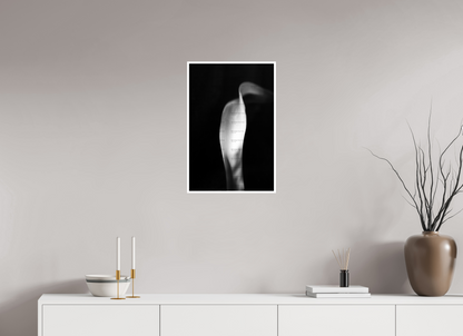 16 x 24″, Photo Print On Ilford Baryta Paper Lily