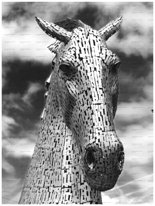 Main image Kelpie (1)