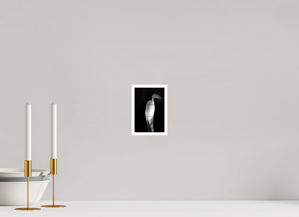 4 x 6″, Photo Print On Ilford Baryta Paper Lily