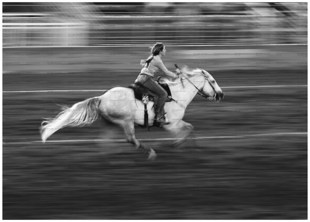 Main image Giddyup