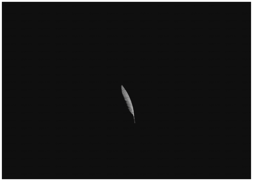 Main image Float Like a Feather