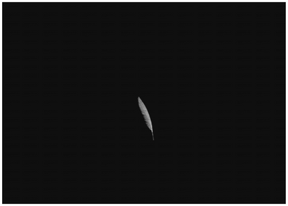 Main image Float Like a Feather