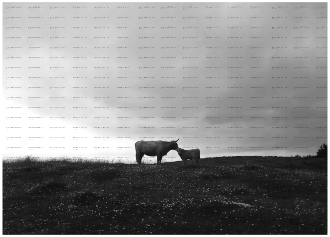 Main image Maternal Instinct