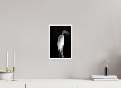 8 x 12″, Photo Print On Ilford Baryta Paper Lily