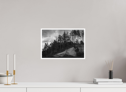 15 x 10″, Fine Art Print on Smooth Paper PNW Landscape #4